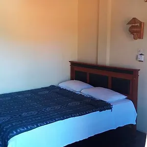 https://surf-doggie-inn.ubudhotelsnow.com